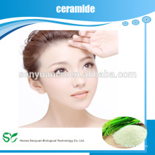 Extracto de la semilla de la camelia de la alta calidad Ceramide 1% -2% para la venta CAS: 100403-19-8